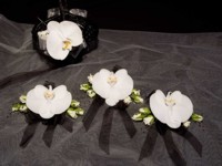 Wrist Corsages - Orchids