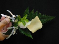 Calla Lilly Buttonhole with fern and ribbon